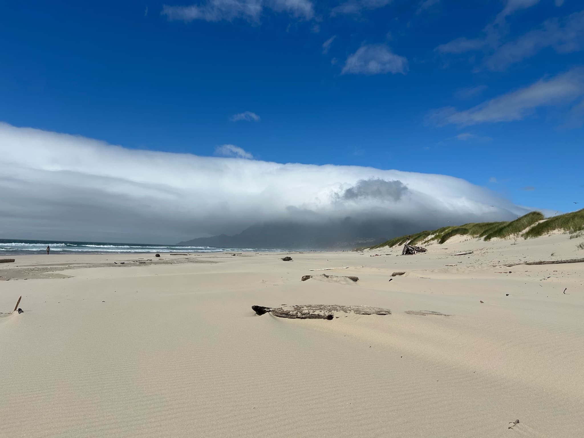 At the Oregon coast in June.