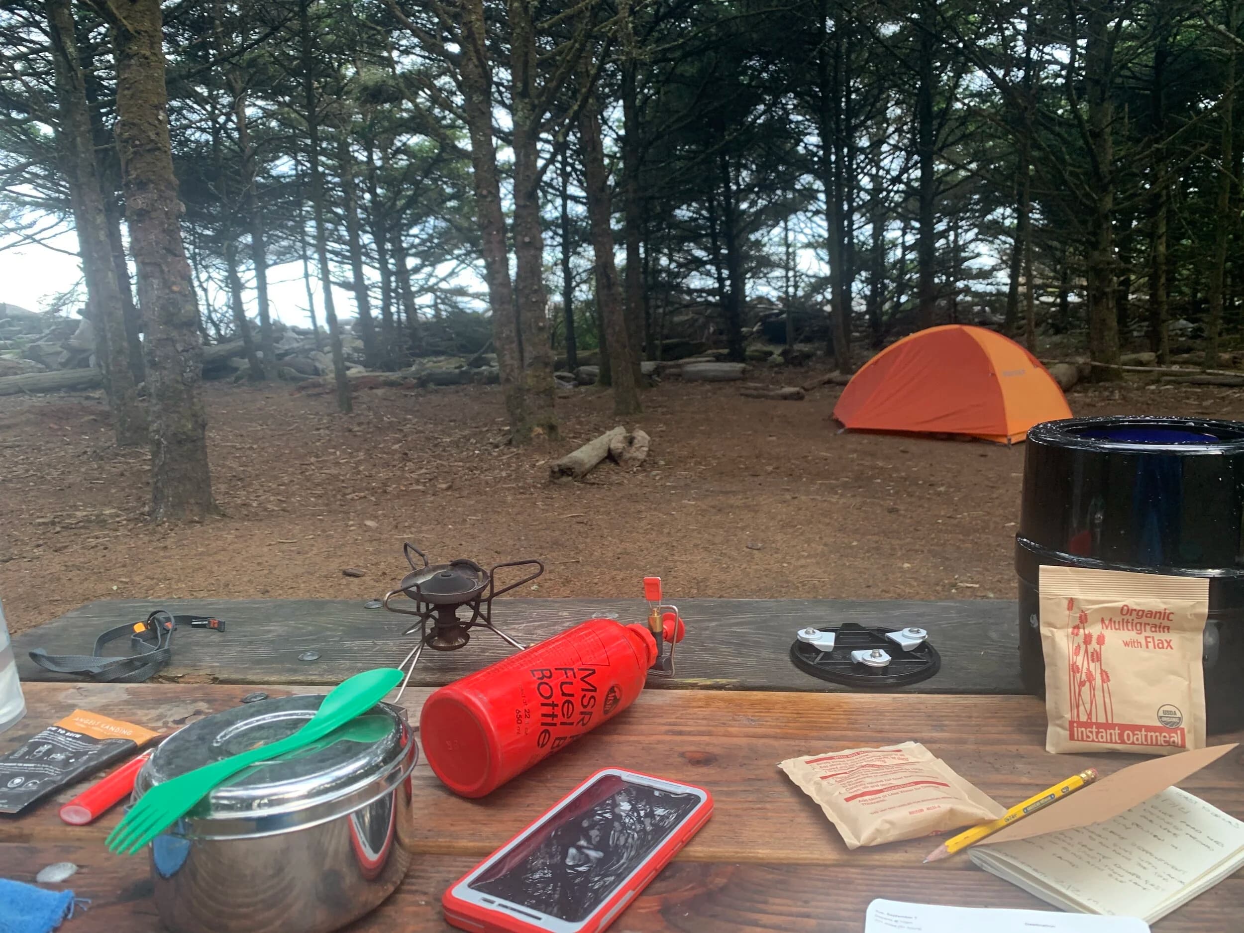 Trip Report: Portland to Olympic Peninsula to Orcas Island
If you follow me on Instagram, you know I purchased a 2021 Benelli TRK502X in July. I just completed my first overnight trip with the new Benelli, doing 7 nights / 8 days from Portland, up the Olympic Peninsula, over to Bellingham and then finally to Orcas Island.
The plan was to camp most or all nights until my last two nights on Orcas, where I had a small waterfront cottage rented right in Orcas Village, where the ferry lands. After three nights of camping, however, I realized I can’t really do the “thin air pad on the ground” thing anymore (I’d be 50 in a week, after all!). My back was killing me and I was not sleeping well, making the following day’s ride less enjoyable at best, and probably also less safe.
So, instead of 5 nights of camping, I did three and then found a cheap motel in Port Angeles, figuring I’d camp the next night and then do my two nights in the cottage. As it happened, most of the next day was rain and the forecast was rain all night and into the morning, so I ended up in a hotel in Bellingham to avoid setting up and breaking down camp in the rain. I can do it. Have done it. But if money is no object and there is lodging available, why be miserable?
The route I planned was intended to get me familiar with the TRK’s manners while allowing for the fact that I’d be riding solo and really didn’t want to get into trouble that I couldn’t get myself out of. The 502X, despite being a 500cc bike, is not light. Curb weight is listed as 518 lbs (dry is 470). So, I favored two lane highways, but included some backcountry single lane roads that were a mix of pavement and gravel.
Here’s my trip report. Day 1Planned / Actual Destination: Cape Disappointment State Park
Planned / Actual Accommodation: Camping
Planned / Actual Miles: 201 / 212
Planned Route: Tigard to Seaside via the Nestucca River Backcountry Byway; Seaside to Cape Disappointment via US 101.
Route NotesI let Google guide me to Carlton from Tigard (home base). On Gaia GPS, I had planned a route that followed the Nestucca River Backcountry Byway from Carlton to Beaver. Unfortunately, there was a detour after McGuire Reservoir (the body of water at the left edge of the right third of the map above) that took me well south down to Bell Mountain along Bald Mountain Rd before heading back north again and rejoining the Nestucca River Rd near Thune Mouintain. Basically, I missed at least half of the scenic route I was hoping for. I wasn’t sure how far the closure went on Nestucca River Rd, and I was still getting the hang of using Gaia to both see where I was, and plan where I wanted to go…so I just followed the signs for the detour. The detour was nice, but it wasn’t the Nestucca River . Most of the route was paved single lane forest road, with a small section of gravel thrown in before the detour.
Once to Beaver, I just rode south on 101 until I saw the signs for Pacific City. Lunch at Pelican Brewery. (I’m not a fan of their new orange grate picnic table outdoor seating.)
After lunch, I rode straight up 101 through Astoria and across to Ilwaco, where I had a reservation to camp at Cape Disappointment. Great spot, right up against the beach (with some trees and brush to break the wind). Camp NotesCape Disappointment was filled mostly with campers pulled by pickup trucks, and my site was nestled between two of them. Most people were friendly. The guy on the north side came over right away to ask about the bike. He’d never seen or heard of Benelli. The guy on the south side came over several times. It’s like he kept looking for excuses to come over and talk more. He even offered me dinner (red beans and rice, with sausage). I accepted. The next morning, he came over with pictures of places I should see in Olympic National Park. The wife of the guy on the north side came over just before I departed for the day’s travels. “Looks like a lot of fun. Nice bike. Reminds me of when we used to backpack. Now we have this thing,” (she gestured to her trailer).
The site itself was great. It was wooded, and sheltered from the beach winds with a thin band of trees and brush, plus a wall of driftwood you had to navigate through and over to get to the beach. The beach itself was gorgeous. Gear NotesI’d read that my trusty MSR Whisperlite Internationale (purchased in 1991) can run on unleaded gasoline just as easily as white gas. Since this kind of moto touring is about going as light and simply as possible, I figured I’d just run unleaded gas instead of bringing white gas. This way, I’d have 1.5 liters of spare gas plus whatever was in my stove bottle in the event that I ran out of gas on the road. Seemed like a great idea.
The reality, as I found out, is that gasoline burns very dirty compared to white gas. It lit, no problem, but the stove was left covered in black soot after a single burn and everything ends up smelling like gasoline. I never realized how much I’d want to smell white gas. So, next trip I’ll ditch the gasoline and go back to white gas.
Also, I threw out my deodorant and body soap before bed. Because I’m using soft bags (not hard aluminum cases) all of my food, toothpaste, and other smelly items need to fit into a small bear canister that fits inside one of my soft bags (keeps rodents out, even if there are no bears). To save space, the stove needs to fit in the bear canister, too. The deodorant and soap simply didn’t fit. So, off they went. Besides, I use Dr. Bronner’s as my dish soap. If I found a shower, I could use that.
Day 2Planned / Actual Destination: South Beach Campground
Planned / Actual Accommodation: Camping
Planned / Actual Miles: 231 / 219
Planned Route: Cape Disappointment up around the Long Beach Peninsula, to South Beach Campground via Raymond, Grayland, Aberdeen, Moclips, Lake Quinault (I skipped the loop around the Long Beach Peninsula)Route NotesToday was a very nice ride. Two lane highway all the way, with a good chunk of it along the coast. I had planned to do a loop up the Long Beach Peninsula, but decided to skip it to save time after spending some time in the morning exploring Cape Disappointment State Park. My destination, South Beach Campground, is first come / first serve and I wasn’t sure how busy it would be, so I didn’t want to arrive too late.
Finding lunch turned out to be a problem. I was avoiding sketchy looking places because the mask wearing seemed to be a problem. I wasn’t looking for conflict. Along the way I discovered the town of Seabrook, which appears to be a vacation shopping mall built specifically to separate you both from reality and your money. Not my kind of place, though I did look to see if there was a place I could eat. Everything looked too fancy for me to roll up in my full moto suit and boots. Where’s a good taco truck when you need one?
I ended up eating in a gas station convenience store (You and I Market) parking lot in Pacific Beach, just up the road from Seabrook with a bunch of day laborers picking up their afternoon tallboys. Gear NotesFor day two, I used Gaia GPS’s route planning feature to set my path to South Beach. It’s quite easy once you figure out the combination of gestures and long-presses (I needed a YouTube video). One caveat is that you either need a data connection (Wi-Fi or mobile data) to be able to do it (if you want the route to snap to a road or trail, which is quite handy), or you need to have downloaded all the map areas and route planning data ahead of time. Ordinarily, this wouldn’t be a problem, but I had brought along two phones: my iPhone (which is my regular phone) for pictures and communication (it would ride in my chest pocket); and Goggle Pixel 3 I’d purchased to use only for navigation (it would be mounted to the handlebars). I don’t have data for the Pixel.
This turned out to be a problem because I hadn’t downloaded all the map areas and route planning data for my trip onto the Pixel (whereas I had downloaded it all to the iPhone). So, I switched to navigating (still with Gaia GPS) on my iPhone and taking pictures with the Pixel for this leg of the trip, hoping I’d get good Wi-Fi at some point which would allow me to download the data I needed onto the Pixel so I could switch back.
This single day of using the iPhone as my navigation device fried the camera. Two days later, Apple published this.
I still really like having two phones on a trip. (I also have a Spot X satellite communicator for off-grid communication.) It’s nice to have one in the pocket that can come out for a quick picture. It’s also nice to have an emergency backup. It would be nice to have a data plan for the nav phone. Short of that, I just need to be better about downloading map areas and routing data ahead of time (and not using my iPhone for nav). Camp NotesSouth Beach Campground is right on the water, and it’s first-come, first-served. The weather was good, and I felt lucky to get a spot. There were several spots available as it turned out. As I was riding around trying to choose which spot to take, there was a couple with a pickup camper waving me in next to them. This was a first. “We ride!” they exclaimed. So that’s where I set up camp.
The guy’s name was Steve Miller. He sells CBD products online. Seems on brand. They were an amazingly friendly couple, actually. Both ride BMW’s and Steve, especially, was really curious and enthusiastic about the TRK. The bike was really turning out to be a conversation starter. He came over several different times while I was setting up camp and making dinner to ask questions or share info about riding groups he’s a part of. It was really quite welcome.
In the morning they gifted me some carrot zucchini bread for breakfast and then broke camp and pulled out well before I did.