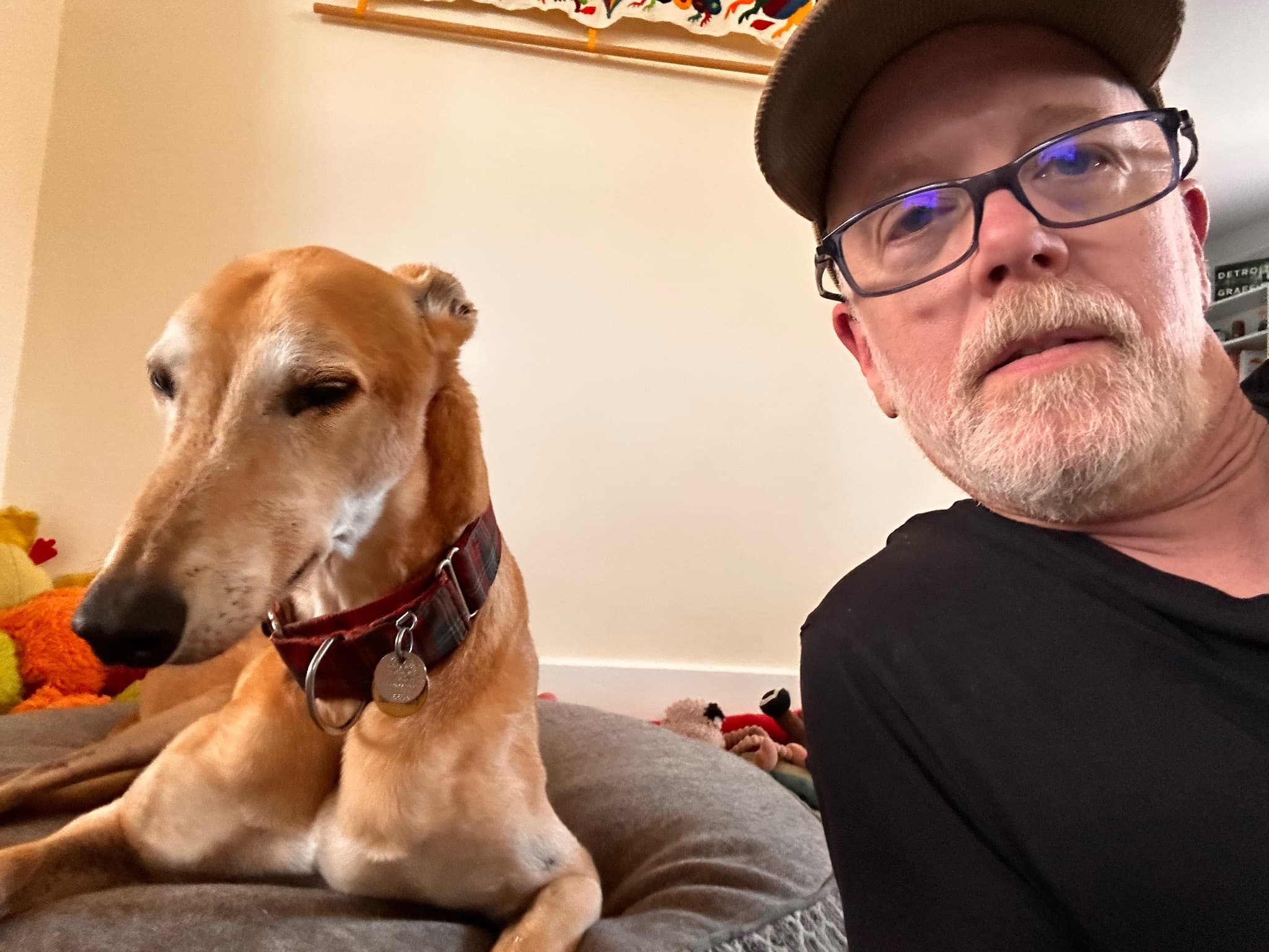 With the Adventure Pup.
