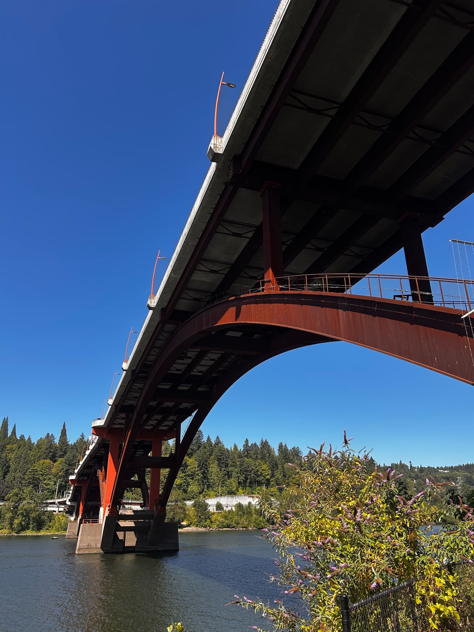 Under the Sellwood Bridge this morning.