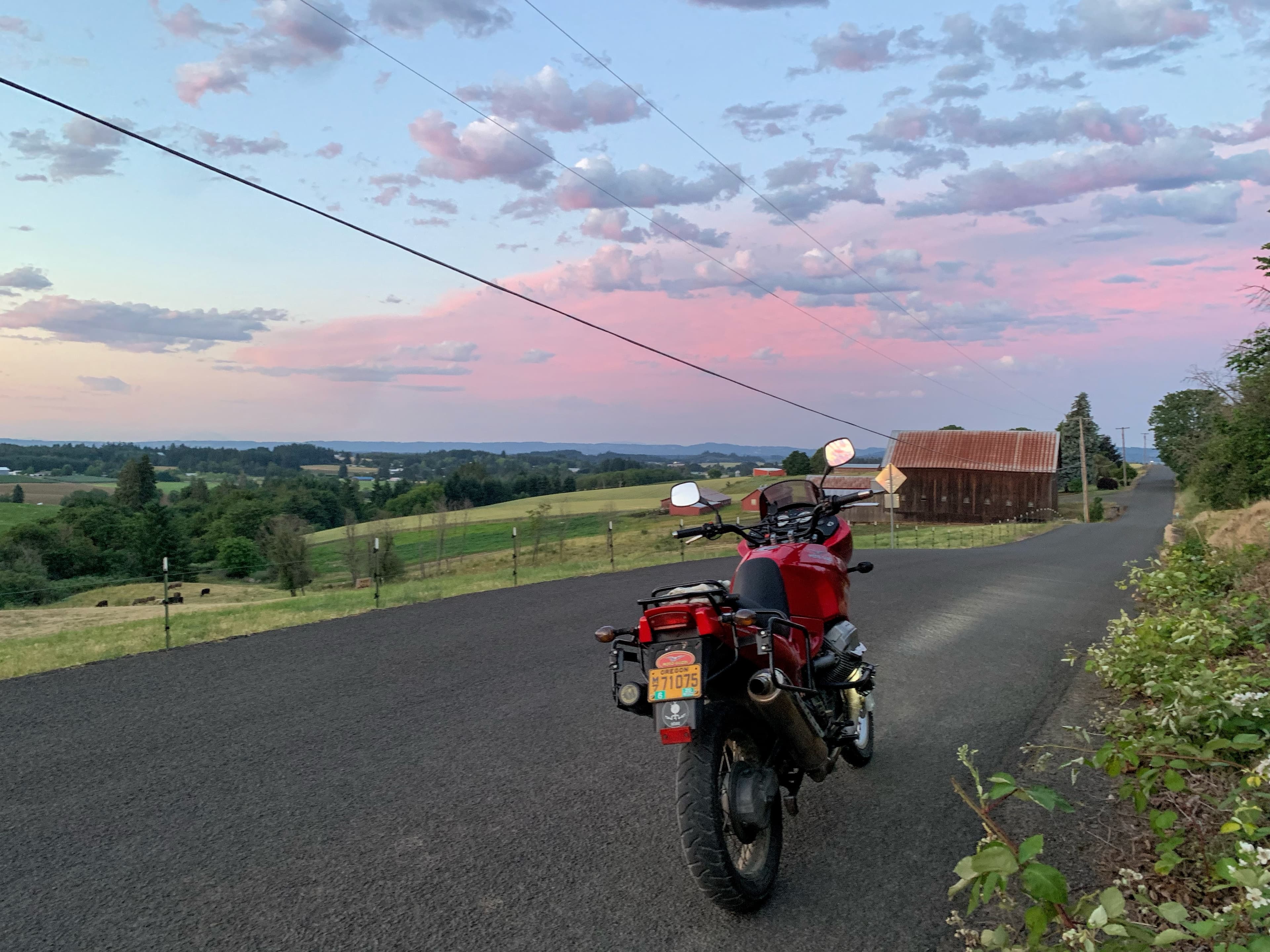 Photo from the field