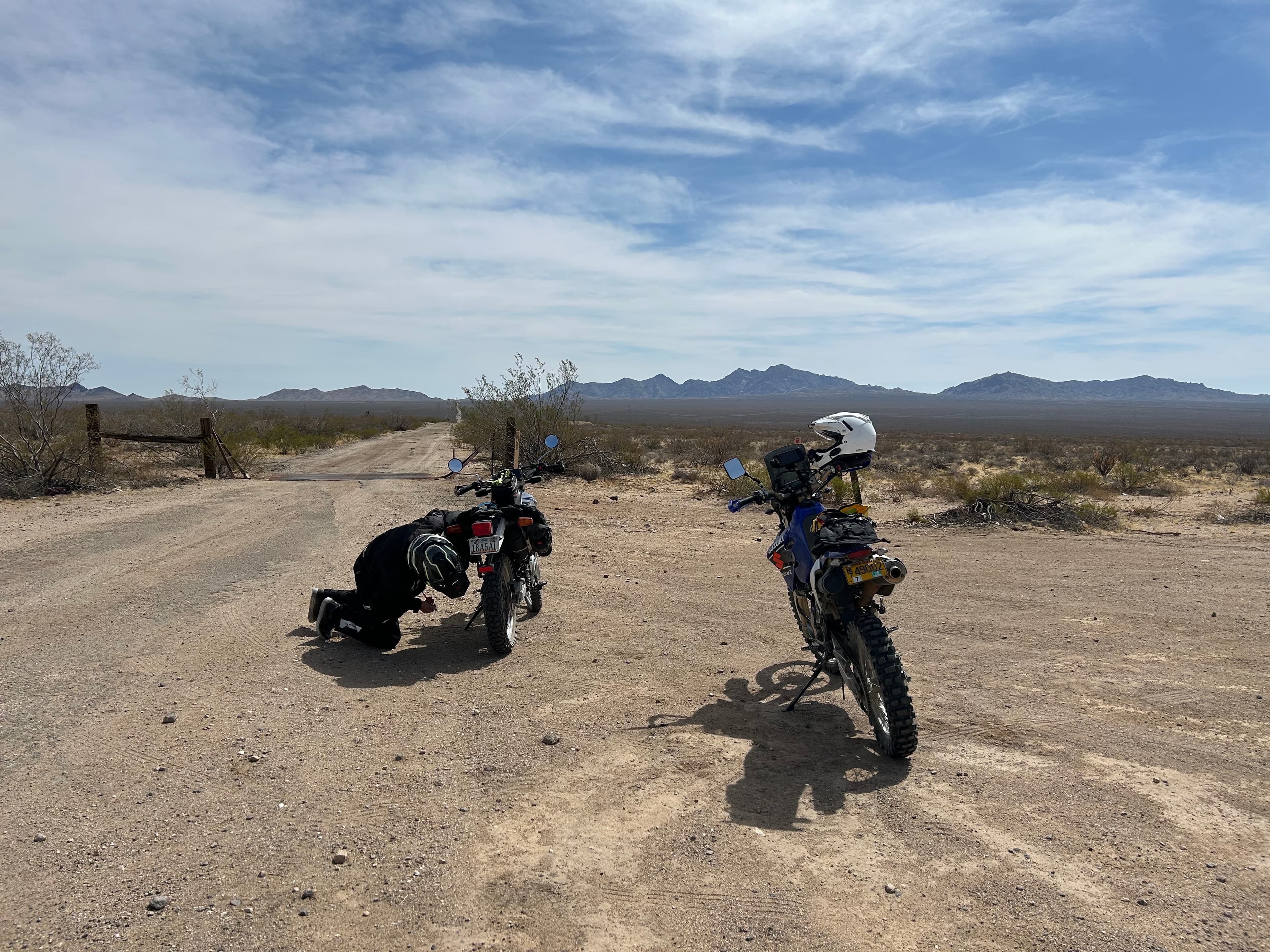 Photo from the field