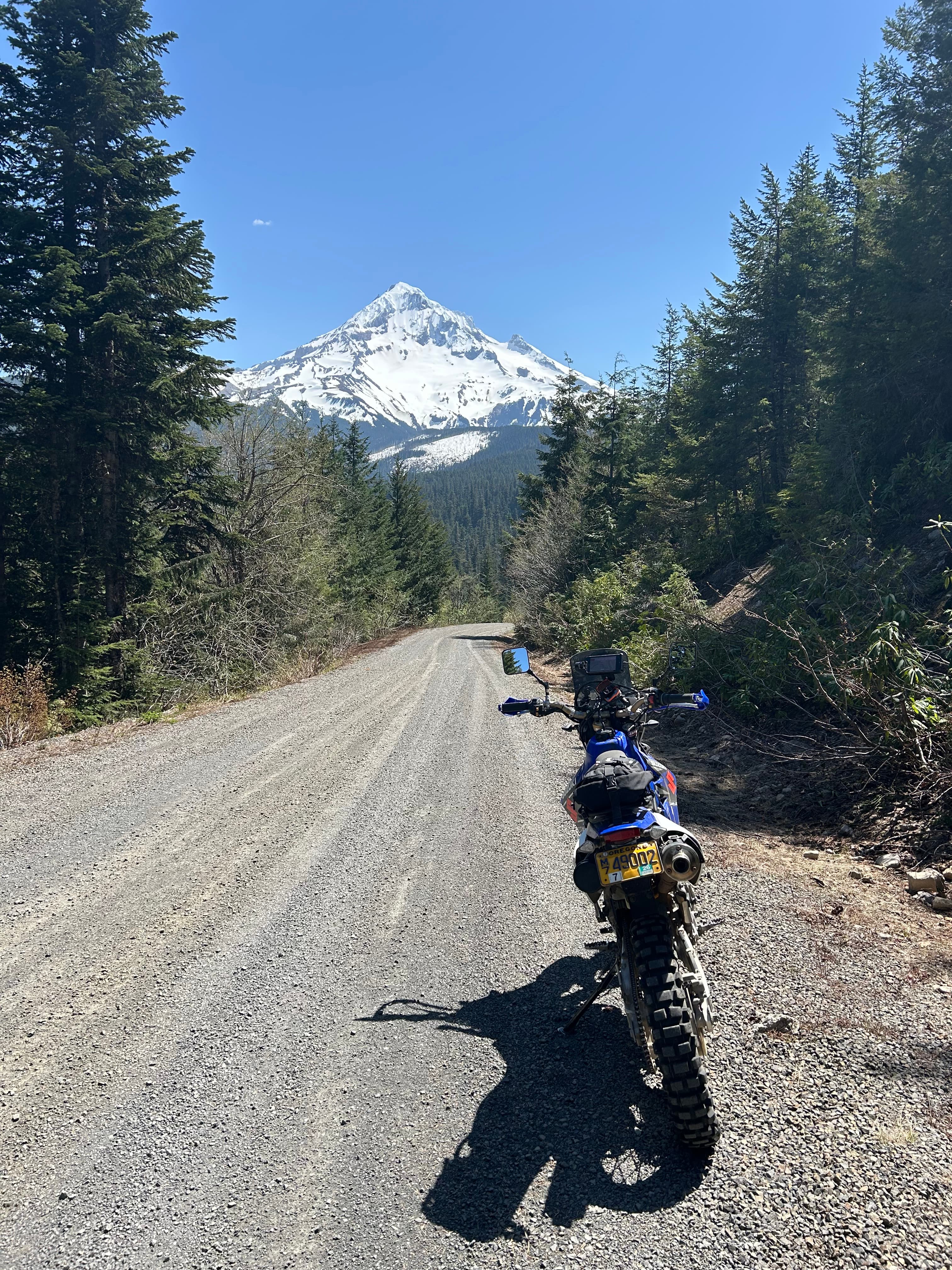 Photo from the field